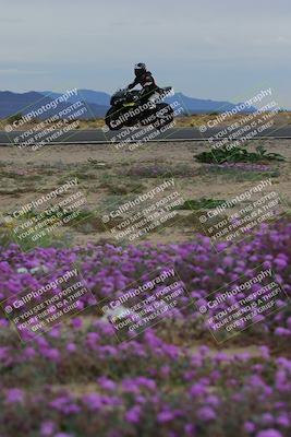 media/Jan-14-2023-SoCal Trackdays (Sat) [[497694156f]]/Turn 14 Exit Bloomig (145pm)/
